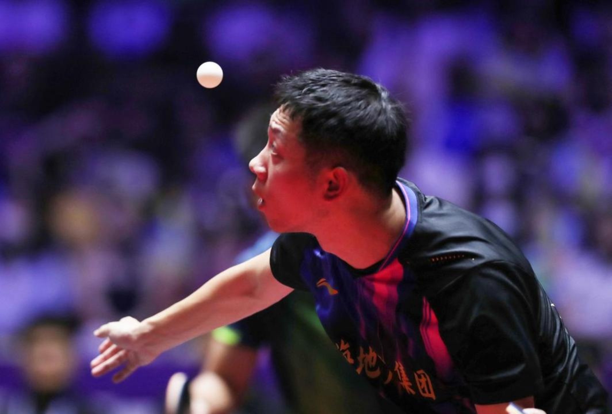 波兰队轻取德国队，许昕刷新纪录