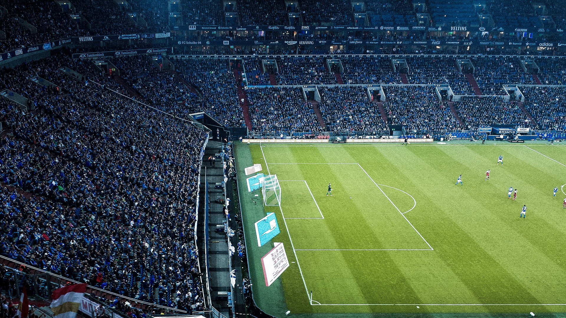 辽宁队冲垮广东队,福克斯的教科书如何撕碎十冠王防线?